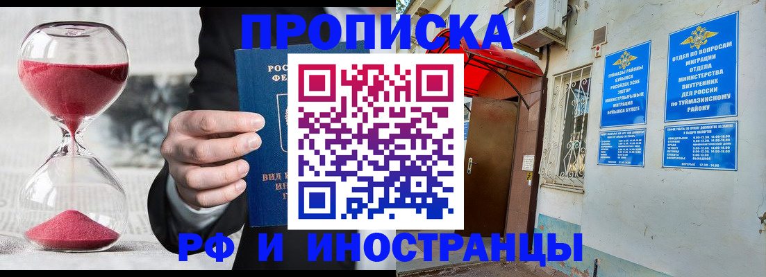 прописка 2025 в Курчалом